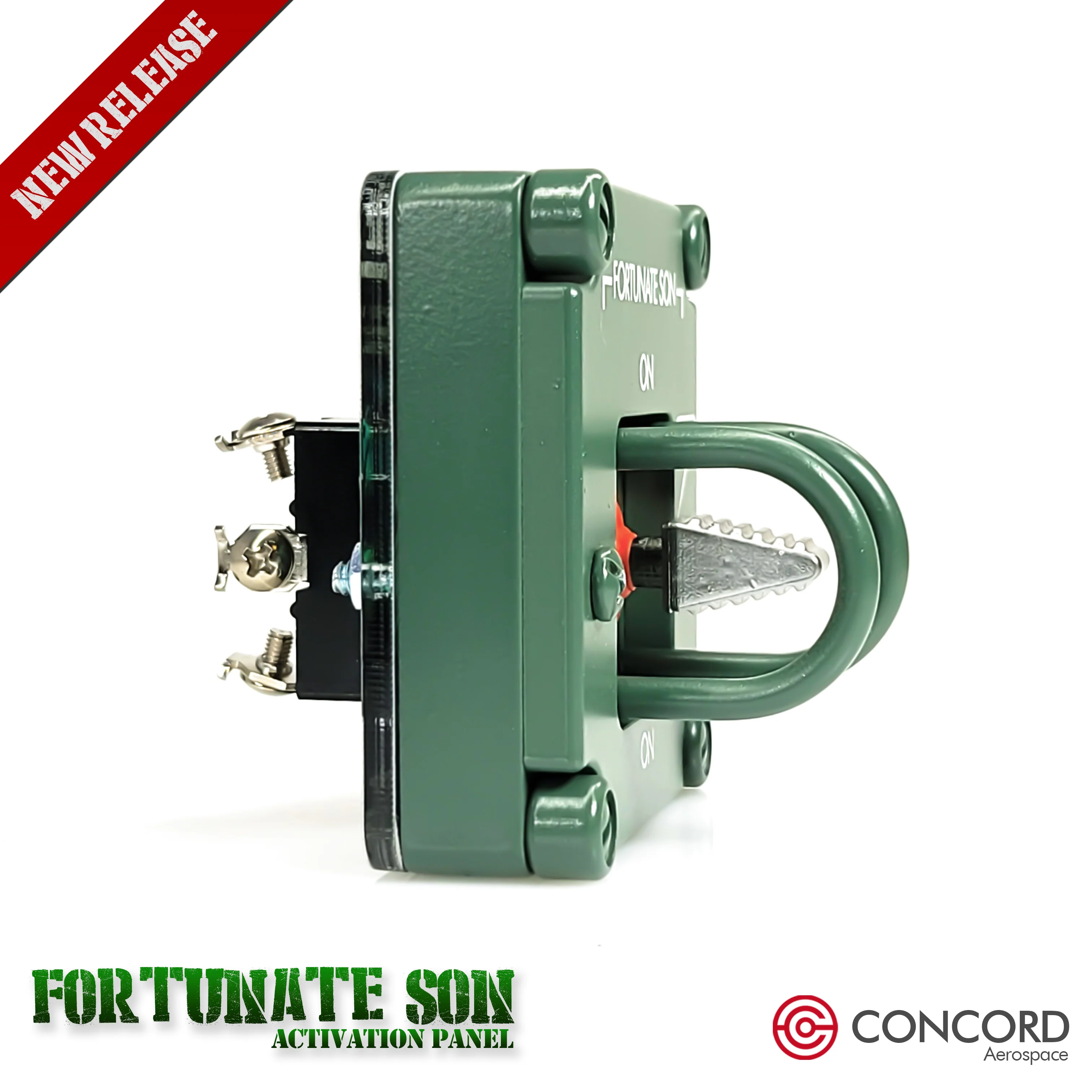 FORTUNATE SON PANEL - Image 8