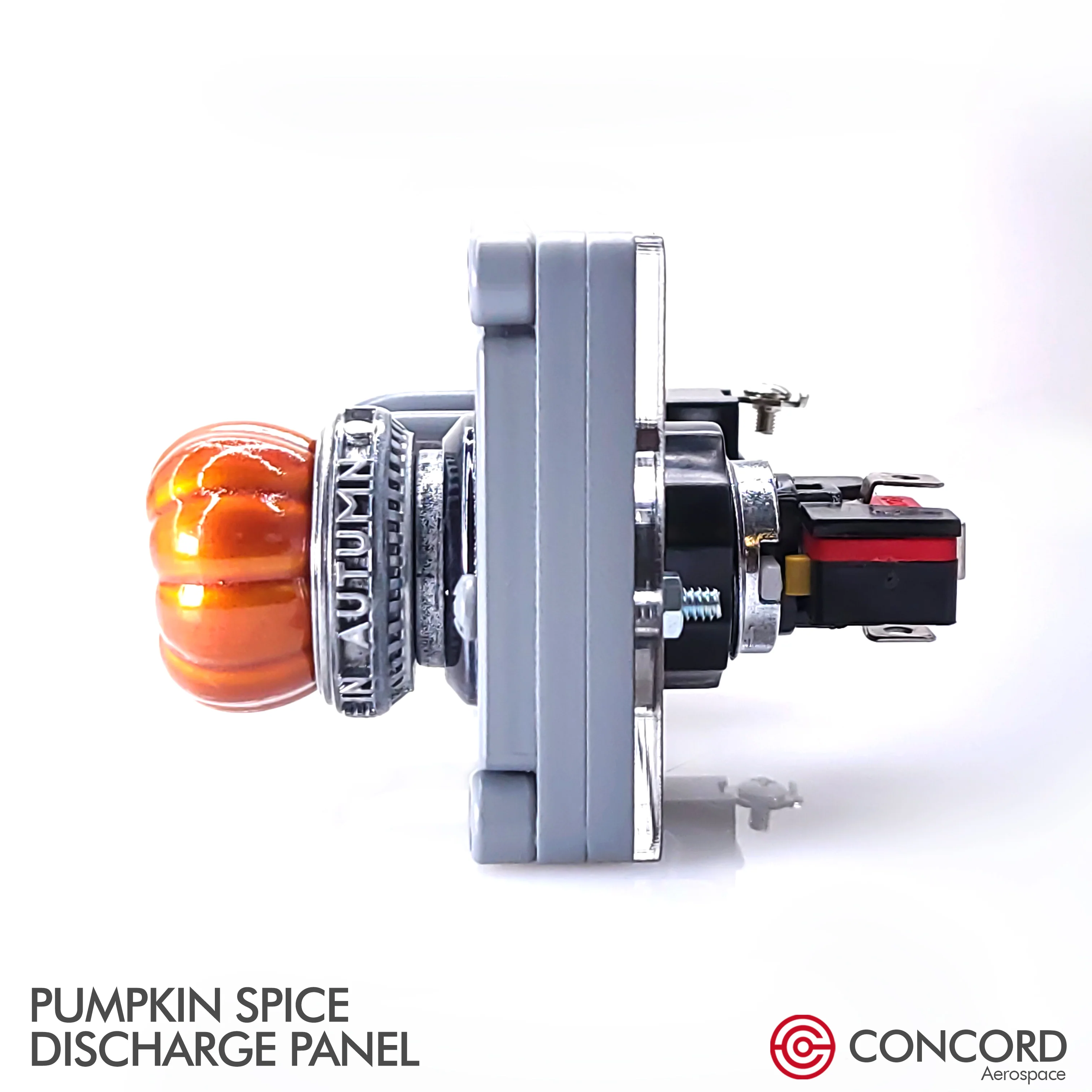 PUMPKIN SPICE DISCHARGE PANEL - Image 14