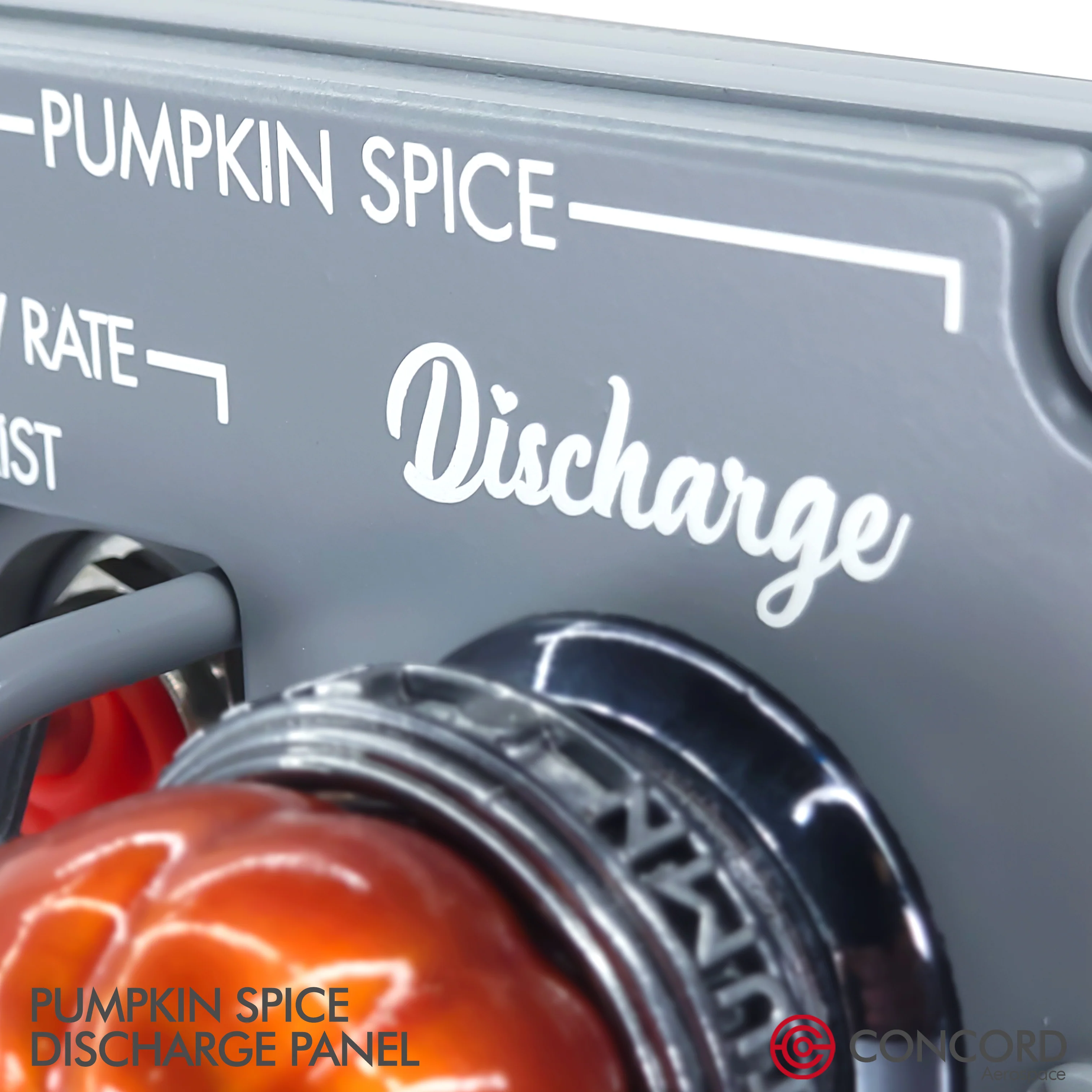 PUMPKIN SPICE DISCHARGE PANEL - Image 16