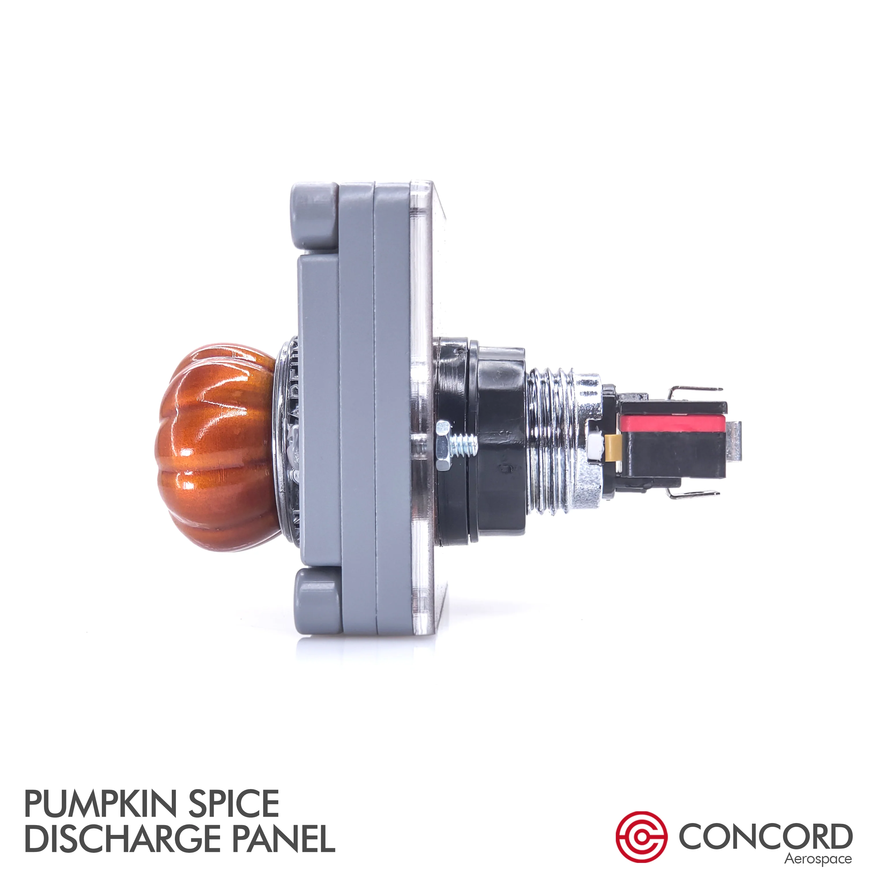 PUMPKIN SPICE DISCHARGE PANEL - Image 24