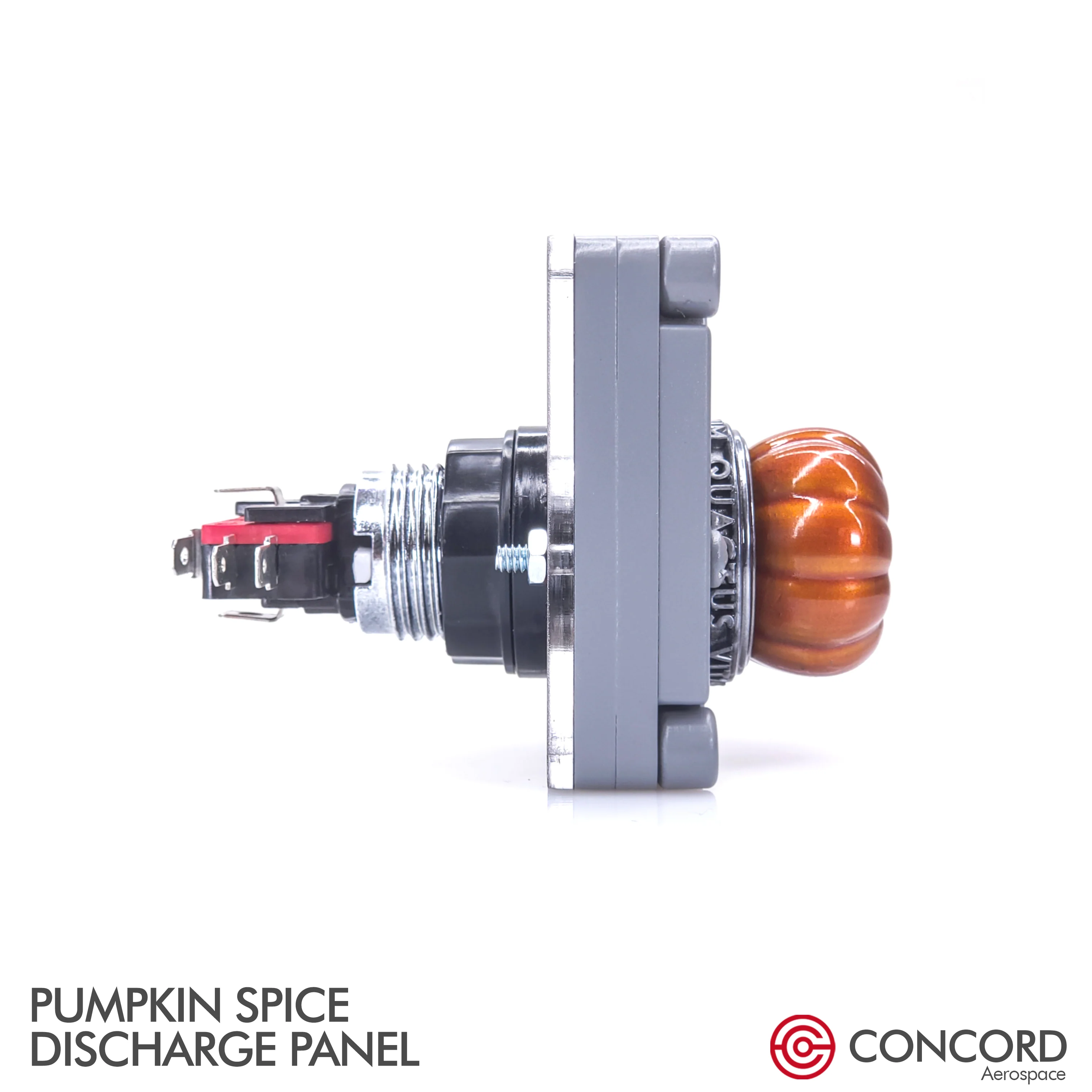 PUMPKIN SPICE DISCHARGE PANEL - Image 26